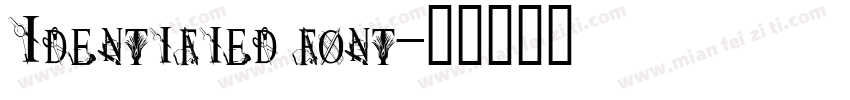 Identified font字体转换